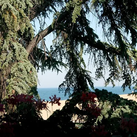 Elizabeth Dy Boutique 3* ネセバル