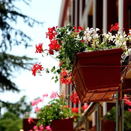 Elizabeth Dy Boutique Hotell 3*