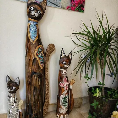 ホテル Elizabeth Dy Boutique