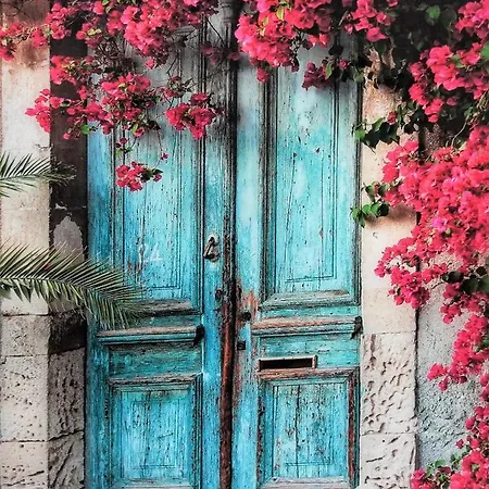 ホテル Elizabeth Dy Boutique ネセバル