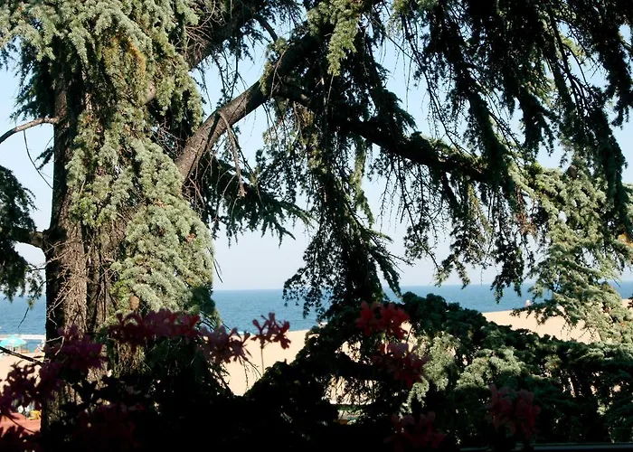 Elizabeth Dy Boutique 3* Nessebar